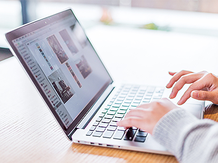 赏金船长官网荣誉资质五